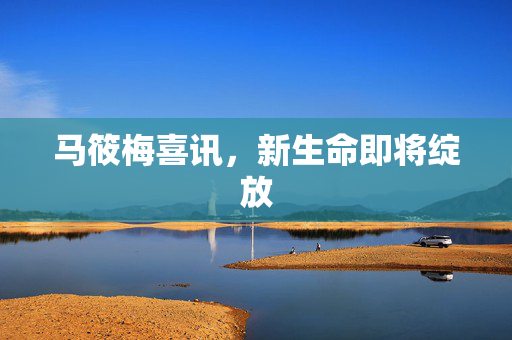 马筱梅喜讯，新生命即将绽放