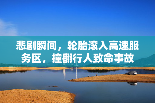 悲剧瞬间，轮胎滚入高速服务区，撞翻行人致命事故