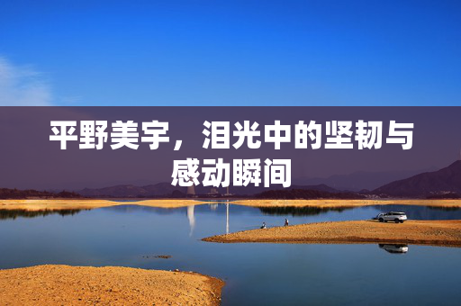 平野美宇，泪光中的坚韧与感动瞬间