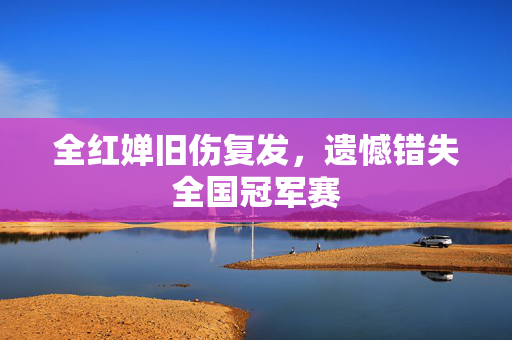 全红婵旧伤复发，遗憾错失全国冠军赛