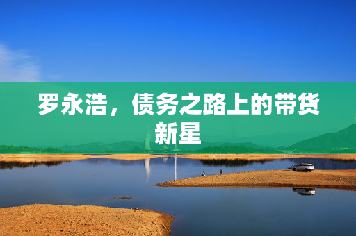 罗永浩，债务之路上的带货新星