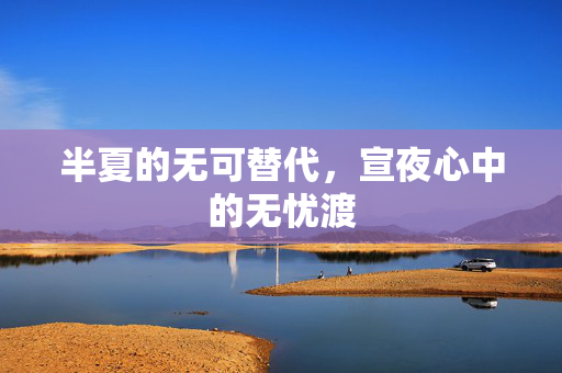 半夏的无可替代，宣夜心中的无忧渡