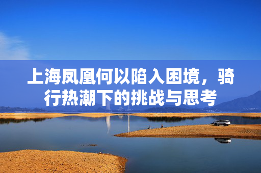 上海凤凰何以陷入困境，骑行热潮下的挑战与思考