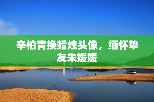 辛柏青换蜡烛头像，缅怀挚友朱媛媛