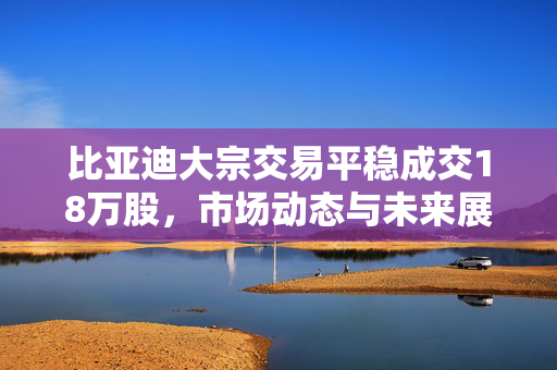比亚迪大宗交易平稳成交18万股，市场动态与未来展望