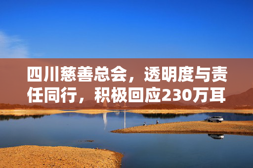 四川慈善总会，透明度与责任同行，积极回应230万耳环事件