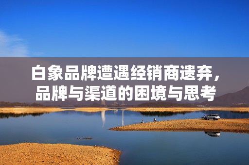 白象品牌遭遇经销商遗弃，品牌与渠道的困境与思考