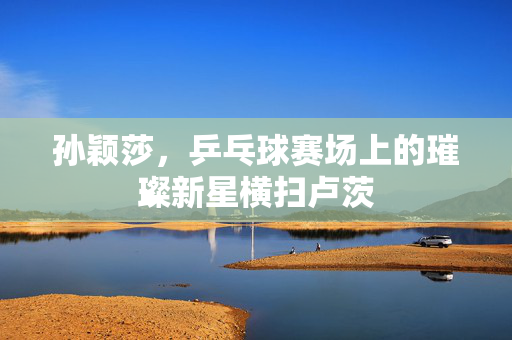 孙颖莎，乒乓球赛场上的璀璨新星横扫卢茨