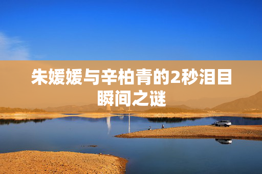 朱媛媛与辛柏青的2秒泪目瞬间之谜