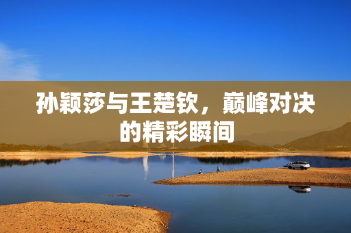 孙颖莎与王楚钦，巅峰对决的精彩瞬间