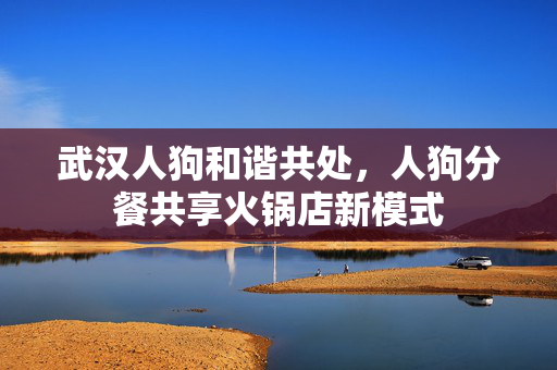 武汉人狗和谐共处，人狗分餐共享火锅店新模式