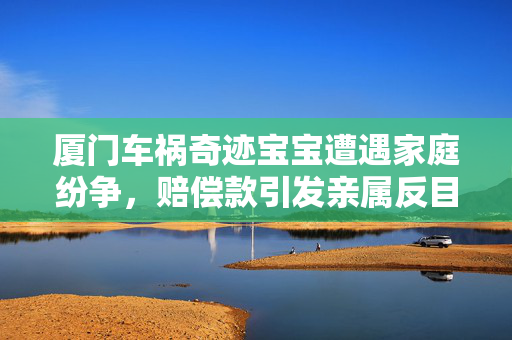 厦门车祸奇迹宝宝遭遇家庭纷争，赔偿款引发亲属反目成仇