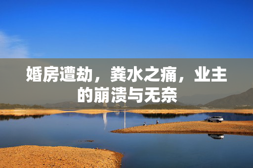 婚房遭劫，粪水之痛，业主的崩溃与无奈