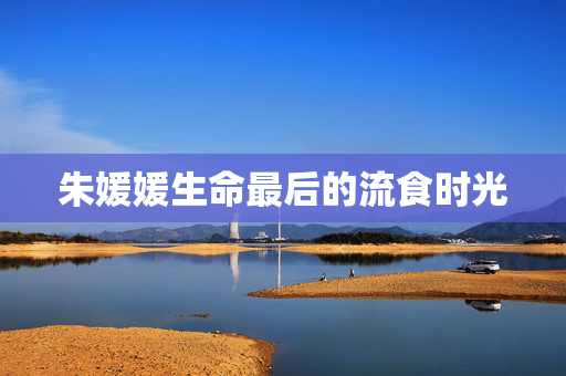 朱媛媛生命最后的流食时光