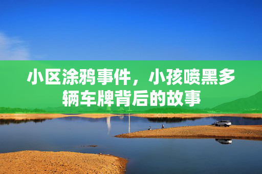 小区涂鸦事件，小孩喷黑多辆车牌背后的故事