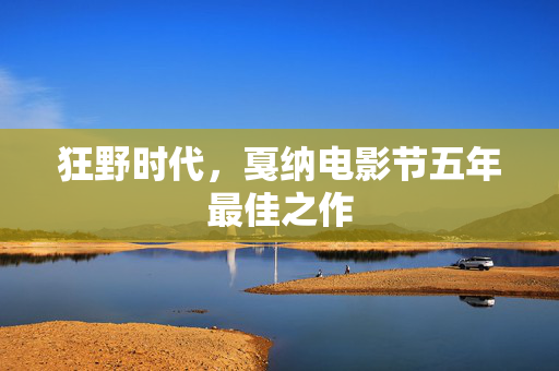 狂野时代，戛纳电影节五年最佳之作