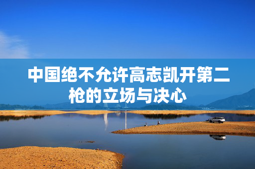 中国绝不允许高志凯开第二枪的立场与决心