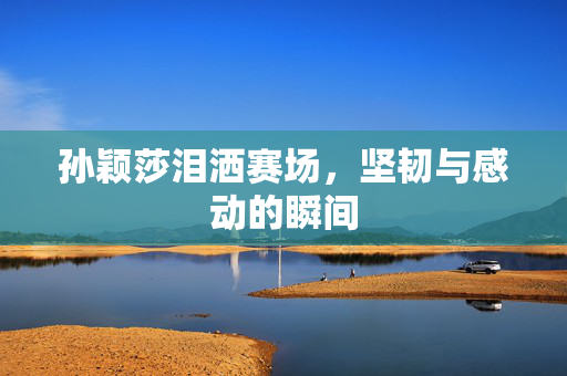 孙颖莎泪洒赛场，坚韧与感动的瞬间