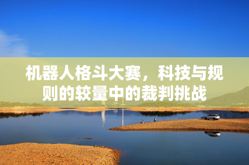 机器人格斗大赛，科技与规则的较量中的裁判挑战