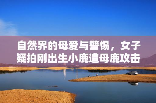 自然界的母爱与警惕，女子疑拍刚出生小鹿遭母鹿攻击