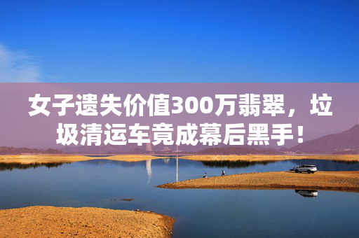 女子遗失价值300万翡翠，垃圾清运车竟成幕后黑手！