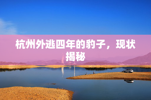 杭州外逃四年的豹子，现状揭秘