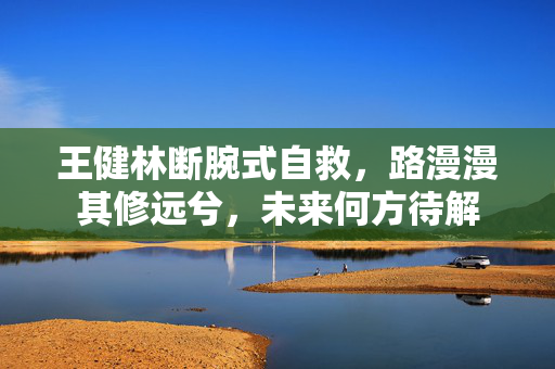 王健林断腕式自救，路漫漫其修远兮，未来何方待解