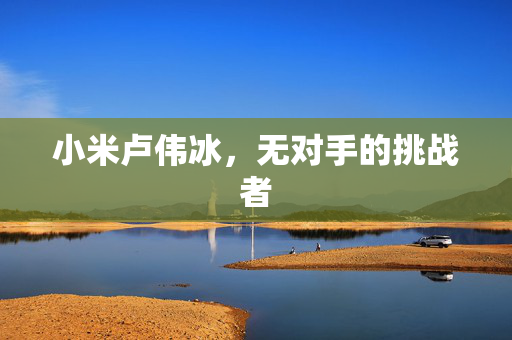 小米卢伟冰，无对手的挑战者
