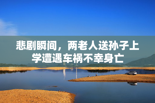悲剧瞬间，两老人送孙子上学遭遇车祸不幸身亡