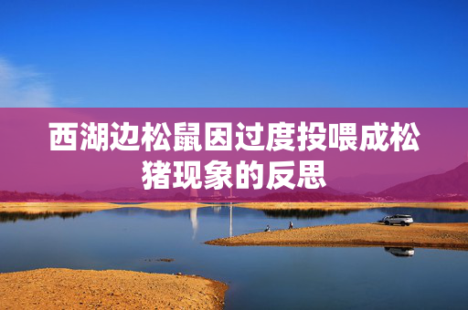 西湖边松鼠因过度投喂成松猪现象的反思