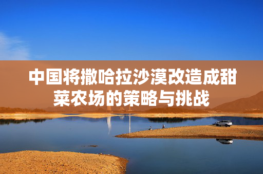 中国将撒哈拉沙漠改造成甜菜农场的策略与挑战