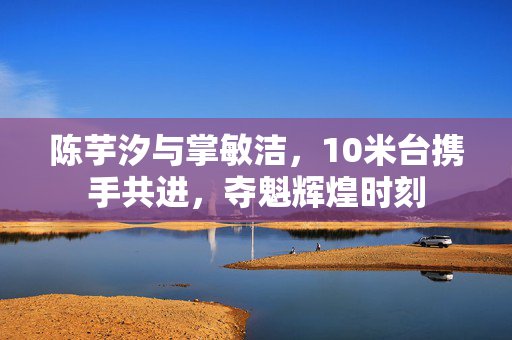 陈芋汐与掌敏洁，10米台携手共进，夺魁辉煌时刻