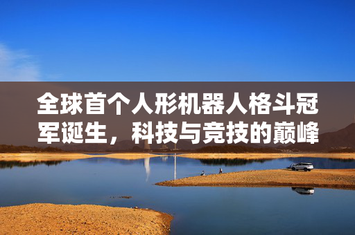 全球首个人形机器人格斗冠军诞生，科技与竞技的巅峰对决