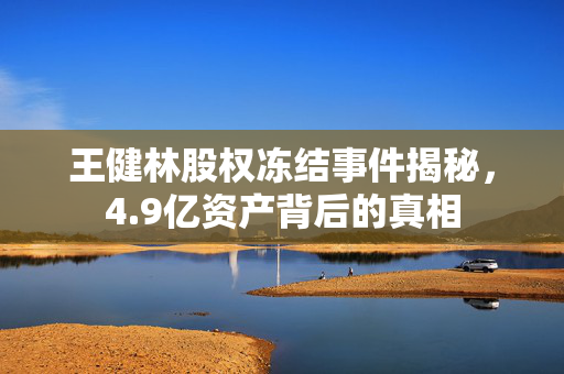 王健林股权冻结事件揭秘，4.9亿资产背后的真相