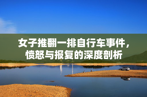 女子推翻一排自行车事件，愤怒与报复的深度剖析