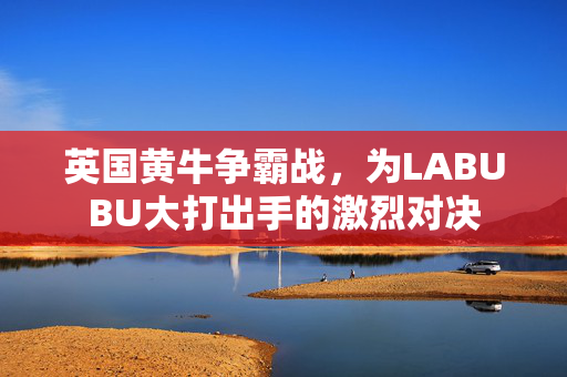 英国黄牛争霸战，为LABUBU大打出手的激烈对决