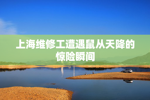 上海维修工遭遇鼠从天降的惊险瞬间