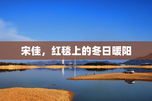 宋佳，红毯上的冬日暖阳