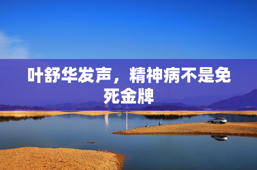 叶舒华发声，精神病不是免死金牌