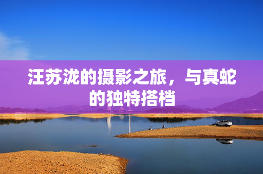 汪苏泷的摄影之旅，与真蛇的独特搭档
