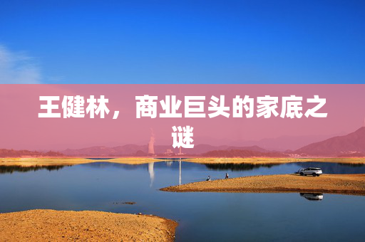 王健林，商业巨头的家底之谜