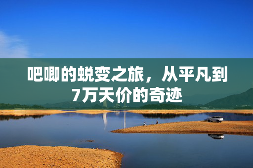 吧唧的蜕变之旅，从平凡到7万天价的奇迹