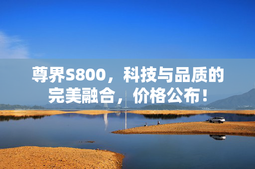 尊界S800，科技与品质的完美融合，价格公布！