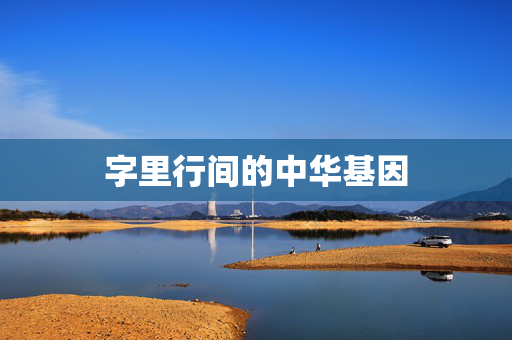 字里行间的中华基因