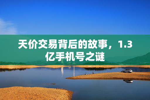 天价交易背后的故事，1.3亿手机号之谜