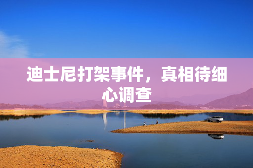 迪士尼打架事件，真相待细心调查