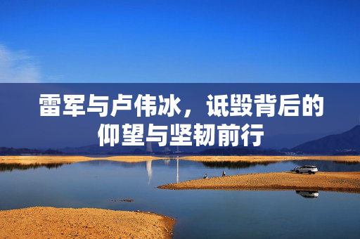 雷军与卢伟冰，诋毁背后的仰望与坚韧前行