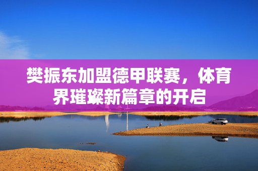 樊振东加盟德甲联赛，体育界璀璨新篇章的开启