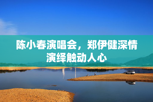 陈小春演唱会，郑伊健深情演绎触动人心