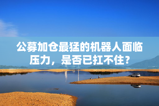 公募加仓最猛的机器人面临压力，是否已扛不住？
